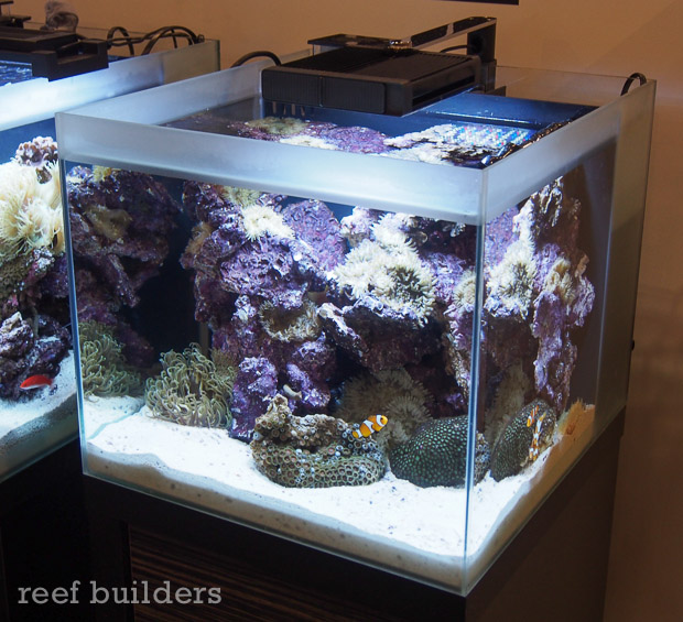 Fluval M40 desktop all in one aquarium | Reef Builders | The Reef and ...