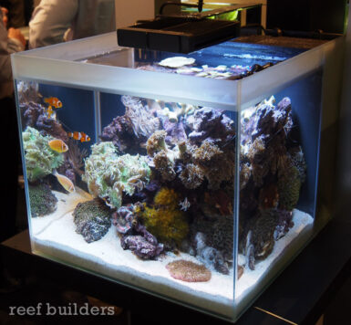 Fluval M40 desktop all in one aquarium | Reef Builders | The Reef and ...