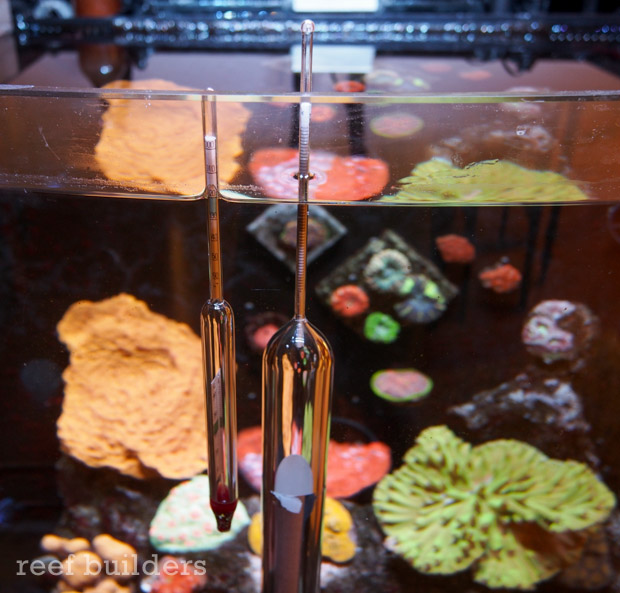 Using the Dupla Marin hydrometer as a hardware salinity reference