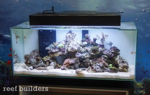 Hagen announces new larger Fluval EDGE tanks with LED light and ...