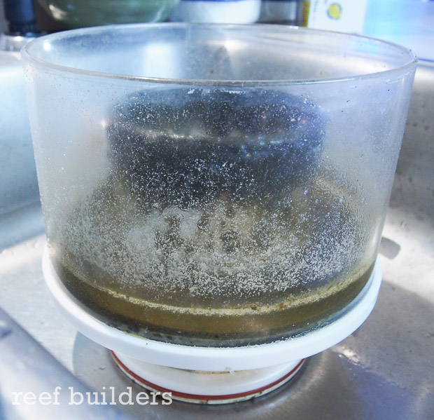 Do protein skimmer neck cleaners really work? Reef Builders The