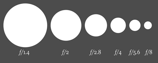 Understanding the photography triad: ISO, aperture and shutter speed ...