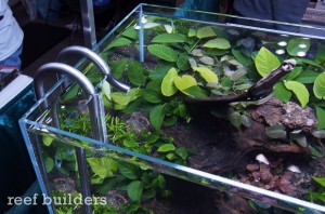 Aquavas Aquarium delivers exceptional fit and finish (for planted tanks ...