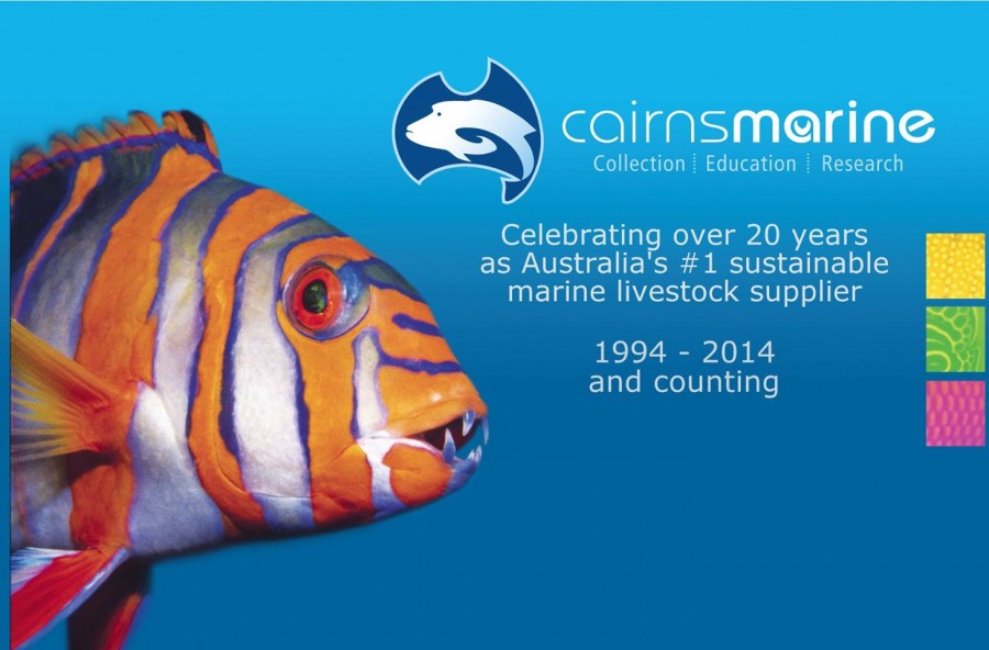 Our Top 5 favorite stories from Cairns Marine Reef Builders The