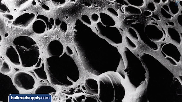 Surface Area Using Rocks Does the surface area of live rock really matter? | Reef Builders | The ...