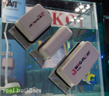 Long-Term Reef Tank Maintenance Plan | Saltwater Aquarium Beginner's ...