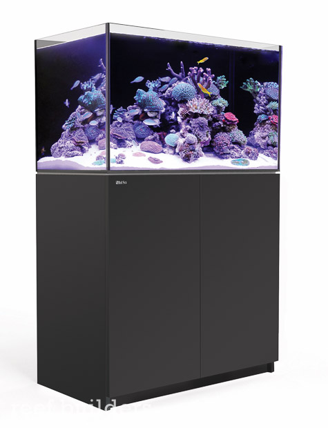 Red Sea Reefer Aquariums blur the line between DIY and All in One ...