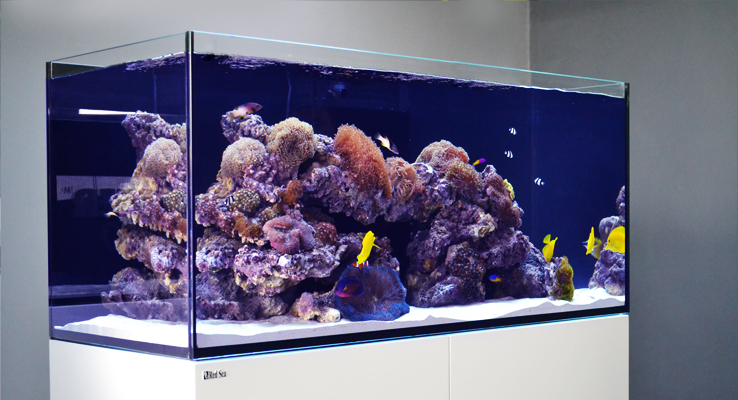 Red Sea REEFER 250 Review part 1 | Reef The Reef and Saltwater Aquarium Blog