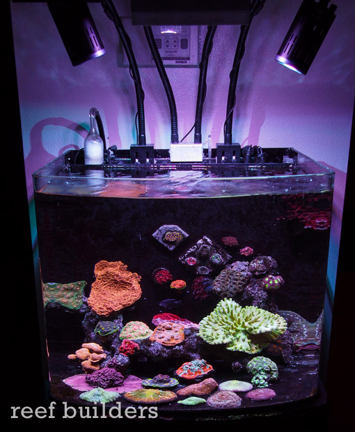 Kessil A160we LED spotlight review the best gets even better Reef