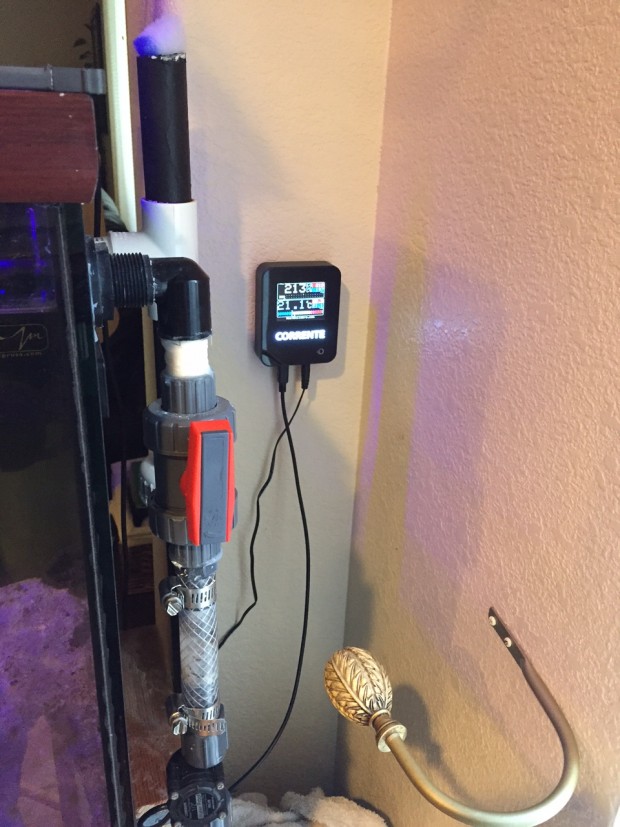 Review of CORRENTE from PRS Japan Reef Builders The Reef and