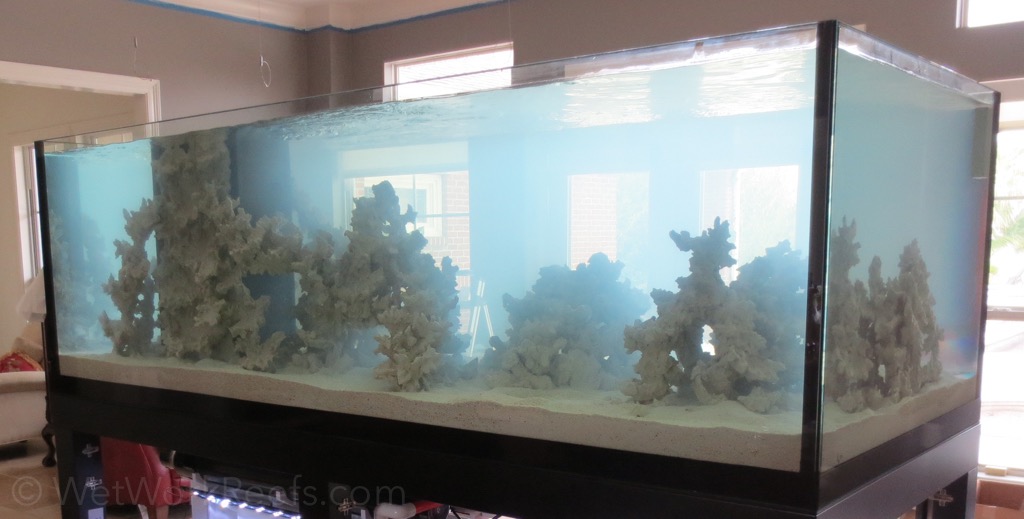 The super high end tank build of Reef 924, part 2 Reef Builders The