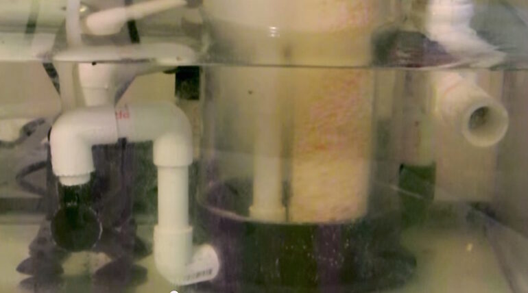 Marine BioSystems puts a biopellet reactor inside a protein skimmer ...