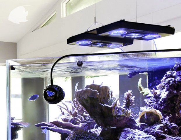Mobius, Ecotech Marine’s New Control Platform Goes into Beta Testing ...