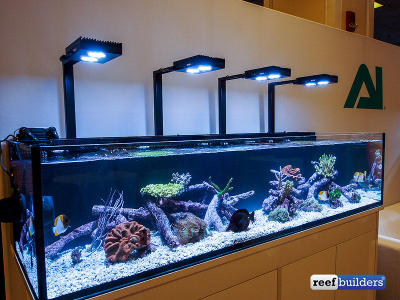 Hydra HD puts the Hydra 26 and 52 into 'HyperDrive' | Reef 