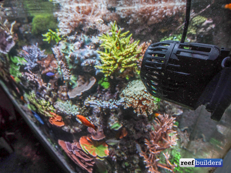 Neptune WaV pump, hands on and first impressions Reef Builders The