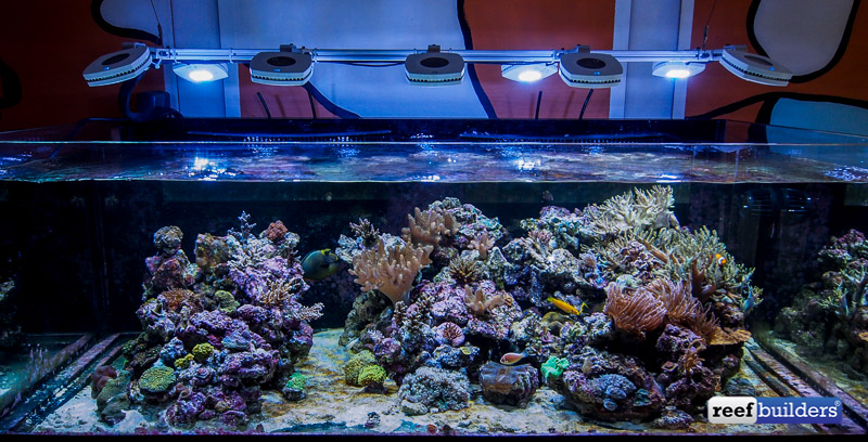 Aqua Illumination’s 10-Prime LED array for their own show tank | Reef ...