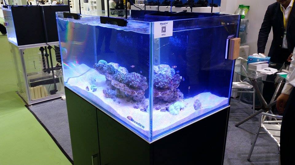 all in one fish tank