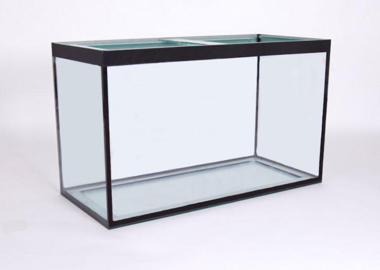 The pros and cons of Rimless Aquariums vs Traditional Braced Aquariums ...