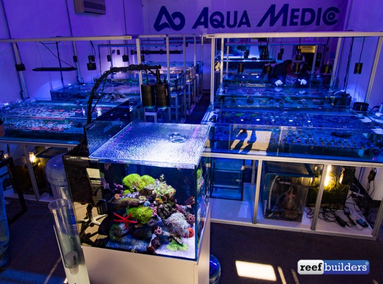 An explosion of color in Aqua Medic USA’s Cubicus reef tank Reef