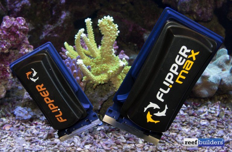 The Best Algae Scrapers for Saltwater Aquariums Reef Builders Gear
