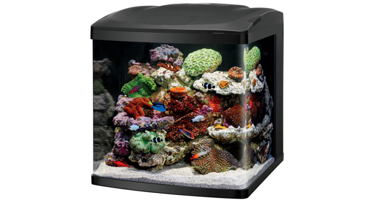 New Coralife LED BioCube refreshes iconic AIO brand | Reef Builders ...