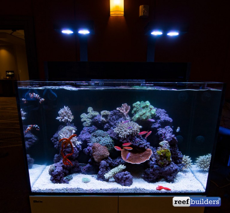 Red Sea MAX E Series debut at ReefStock in Denver | Reef Builders | The ...