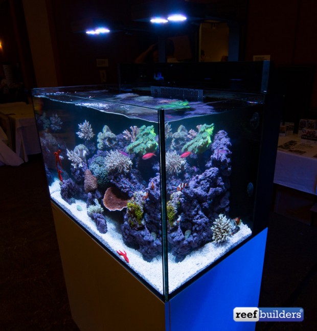 Red Sea MAX E Series debut at ReefStock in Denver | Reef Builders | The ...