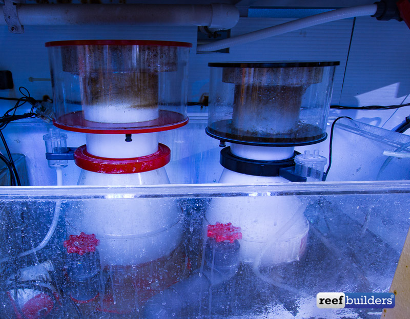 The coralpacked reef tank of Aquatic Art Inc. Reef Builders The