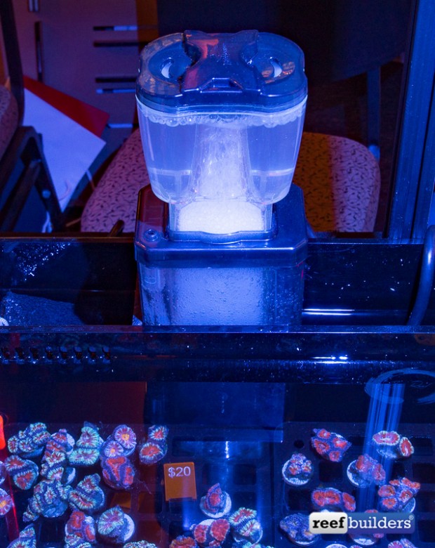 Bubble Magus QQ2 protein skimmer shines in shallow frag tanks Reef Builders The Reef and