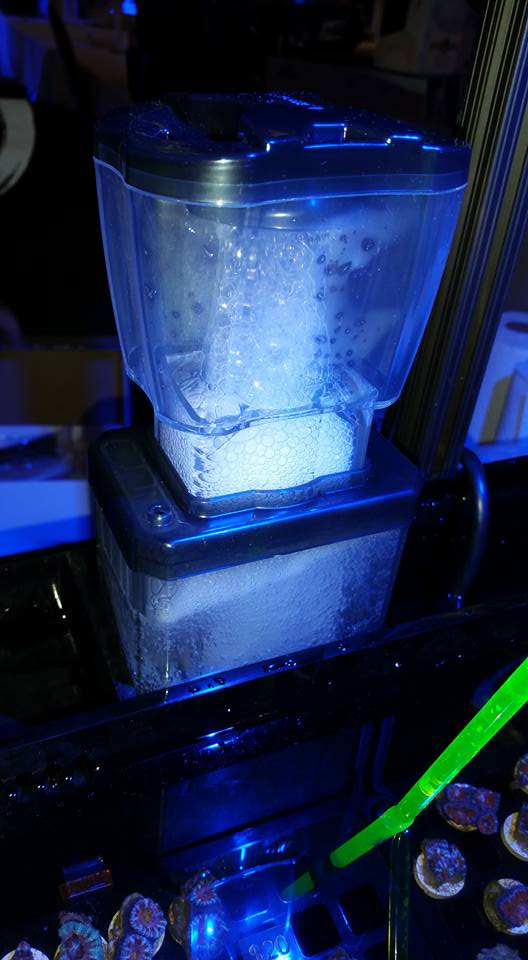 Bubble Magus QQ2 protein skimmer shines in shallow frag tanks Reef Builders The Reef and