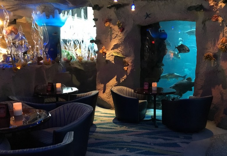 5 reasons to visit the Denver Aquarium Reef Builders The Reef and
