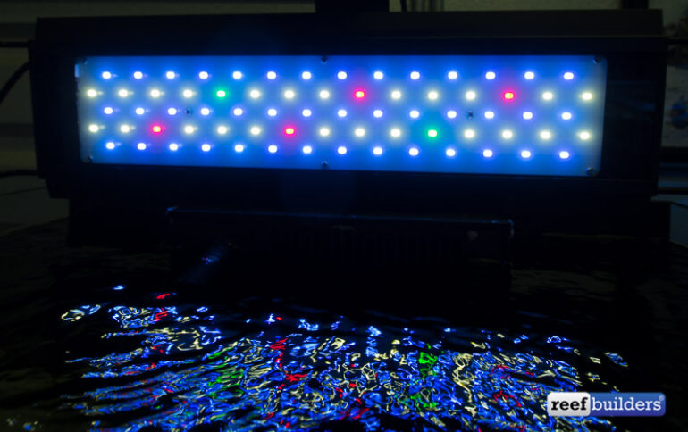 AquaMaxx NemoLight LED review Pt 2, how it looks over corals | Reef ...