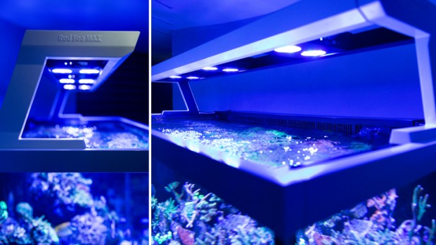 Details on the new and improved Red Sea MAX S | Reef Builders | The ...