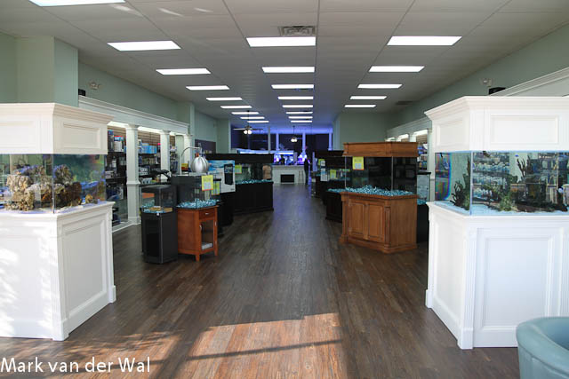 Local saltwater fish hot sale stores