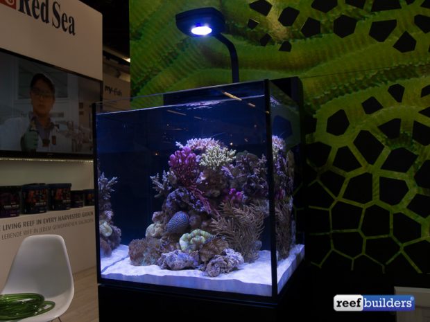 Mini Insert Red Sea Red Sea Max Nano is the company’s smallest reef tank yet | Reef ...