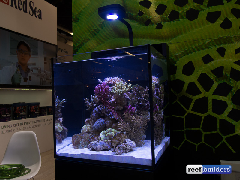 Red Max Nano is the company's smallest tank yet | Reef Builders | and Saltwater Aquarium Blog