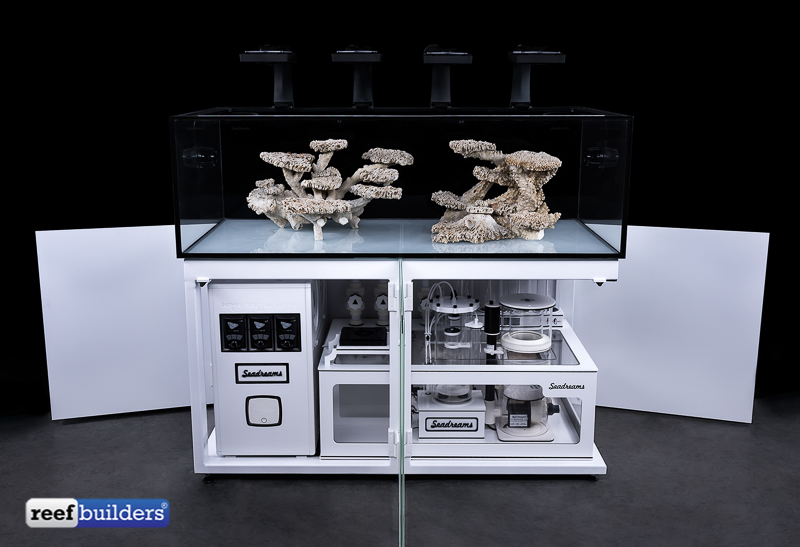 SeaDreams builds a masterpiece of Aquarium Engineering Reef Builders