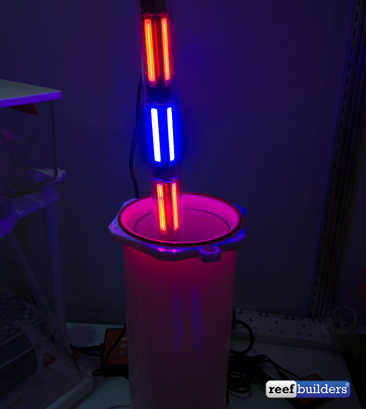 Skimz unveils a macroalgae filter chaetomorpha reactor of their own