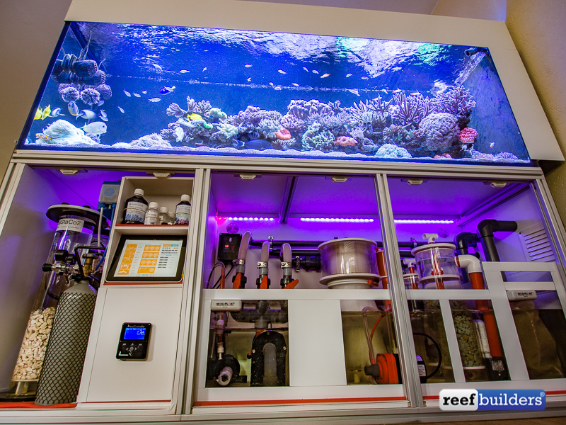 Saltwater Basement Aquarium - Aquarium Architecture