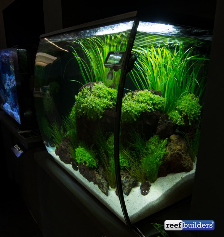 Fluval Flex tanks brings a new perspective to small aquariums Reef