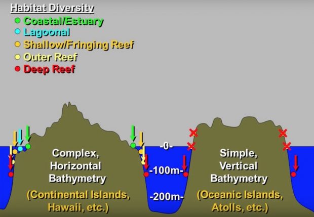 Habitat Persistence Hypothesis Is Rich Pyle’s Exciting Theory About 