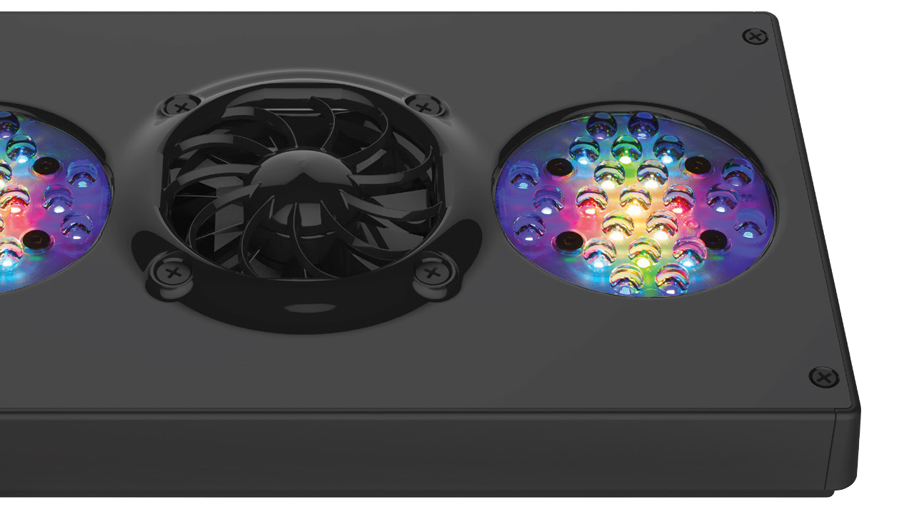 Radion G4 Pro LED is Finally Here!   Reef Builders   The Reef and