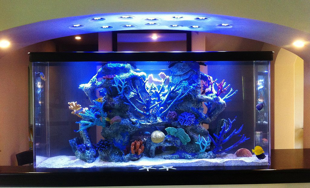 Precies leerplan Wanneer Artificial Decorations for Aquariums | Reef Builders | The Reef and  Saltwater Aquarium Blog