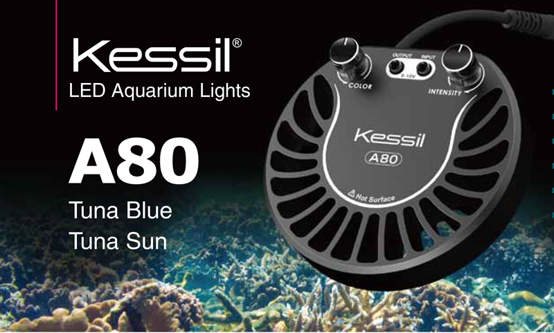 New Kessil A80 LED Tuna Blue for Reefs and Tuna Sun for Plants Reef  Builders The Reef and Saltwater Aquarium Blog