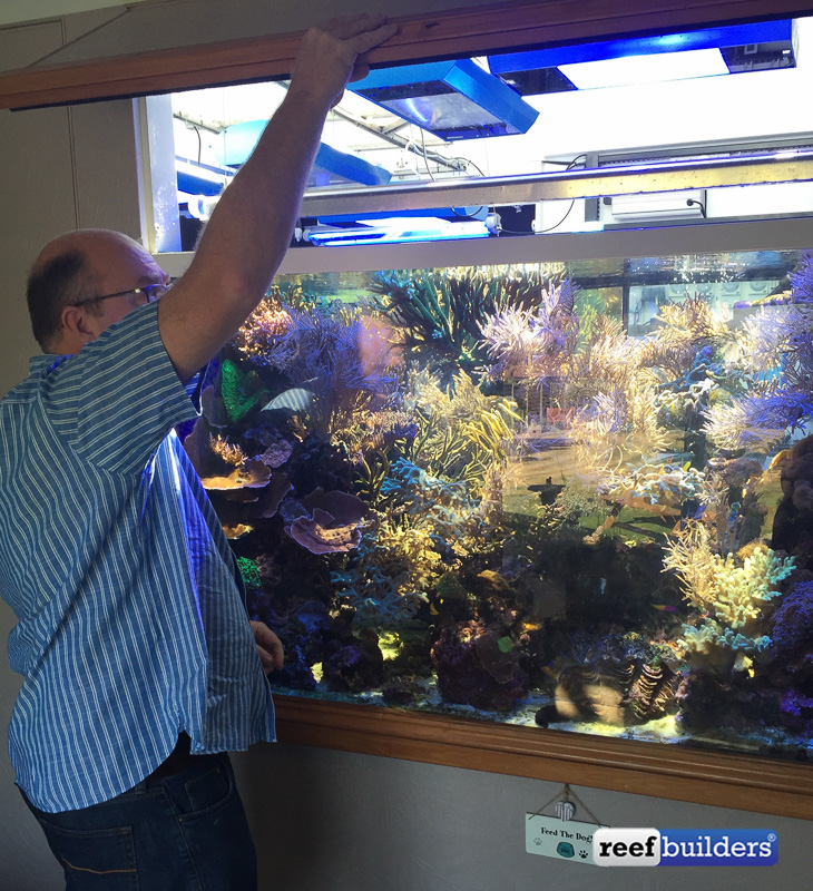  Martin designed it so there is access from all sides. Here he is in the play room