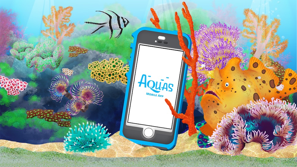 coral mobile app dinotube.fr