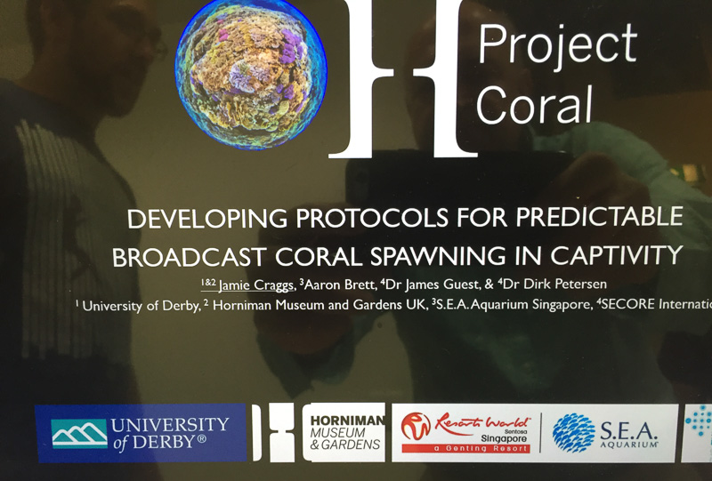 The poster showing exactly what Project Coral is