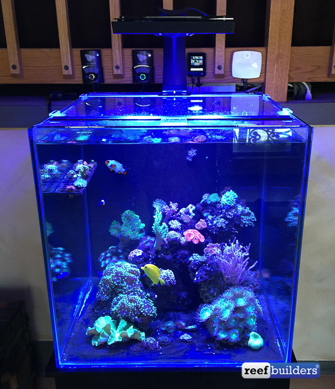 So Many Tanks So Many Possibilities Reef Builders The Reef And Saltwater Aquarium Blog