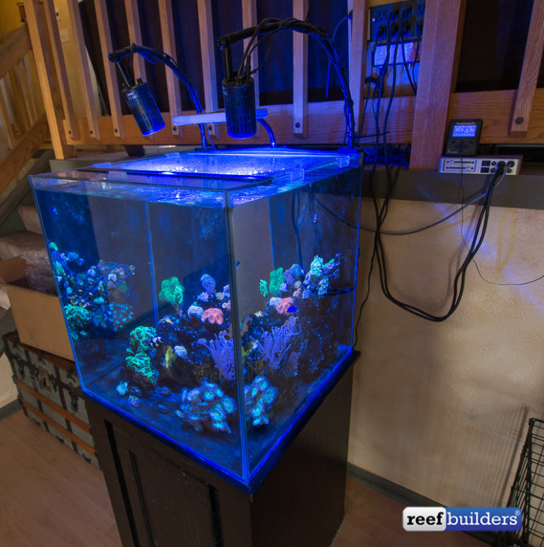 This is How You Setup a Reef Tank for a Family Member Reef Builders