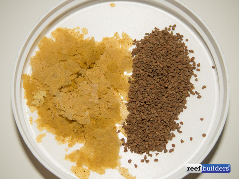 Handson with Piscine Energetics PE Flakes & PE Pellets Reef Builders